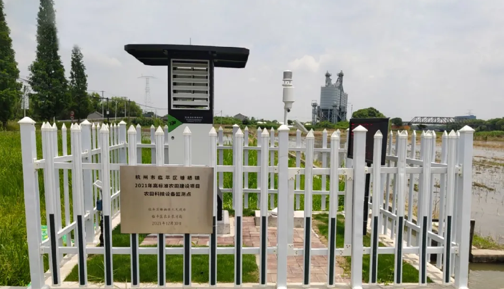 聽說，現(xiàn)在流行這樣種田