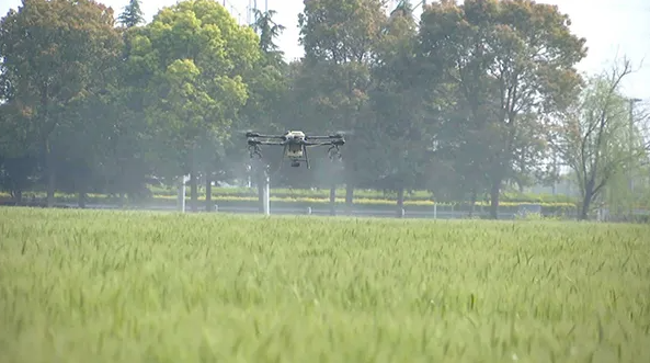 江蘇海門：打造數(shù)字化高標(biāo)準(zhǔn)農(nóng)田，為鄉(xiāng)村振興蓄勢賦能