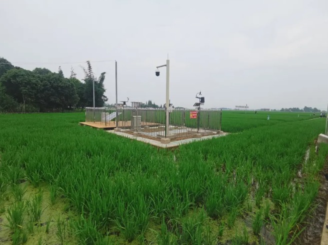 耕地質(zhì)量綜合監(jiān)測點，邛崍現(xiàn)代農(nóng)業(yè)的新探索和實踐