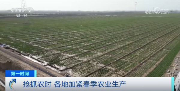 心系糧安、山田無阻、服務有恒|托普云農(nóng)2025年智能裝備巡檢服務全面啟動