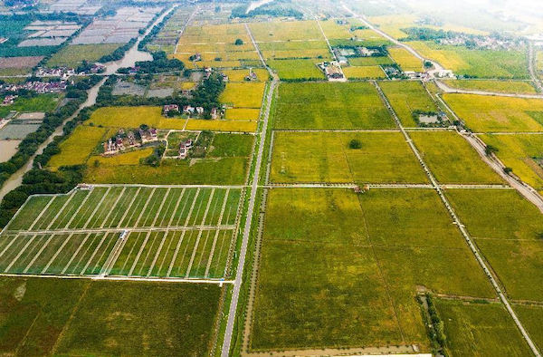 高標準農田案例丨托普云農助力善璉鎮(zhèn)農田“數智”升級