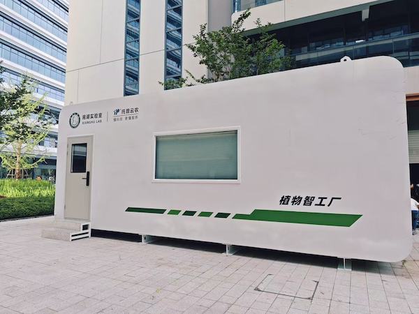 植物工廠案例|聚焦農業(yè)科技創(chuàng)新，托普云農助力湘湖實驗室植物智工廠種出“智慧菜”