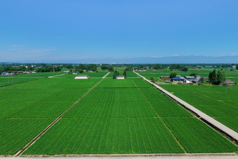 綠色農(nóng)田建設(shè)項目實施方案