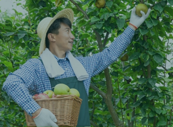 產(chǎn)供銷(xiāo)一體化綜合解決方案