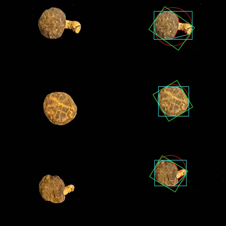 1764654853485759.jpg 香菇分析圖1.JPG