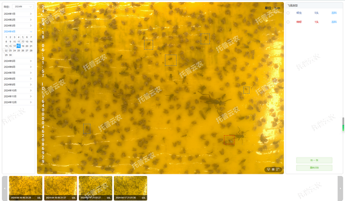 智能識(shí)別 自動(dòng)計(jì)數(shù).png