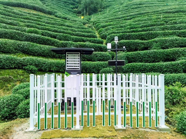 西湖茶園氣象監(jiān)測(1)_副本.jpg